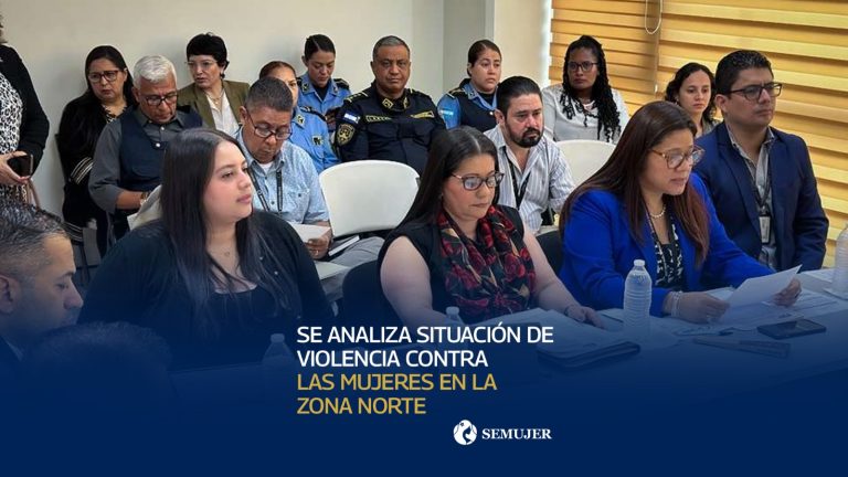 SE ANALIZA SITUACIÓN DE VIOLENCIA CONTRA LAS MUJERES EN LA ZONA NORTE