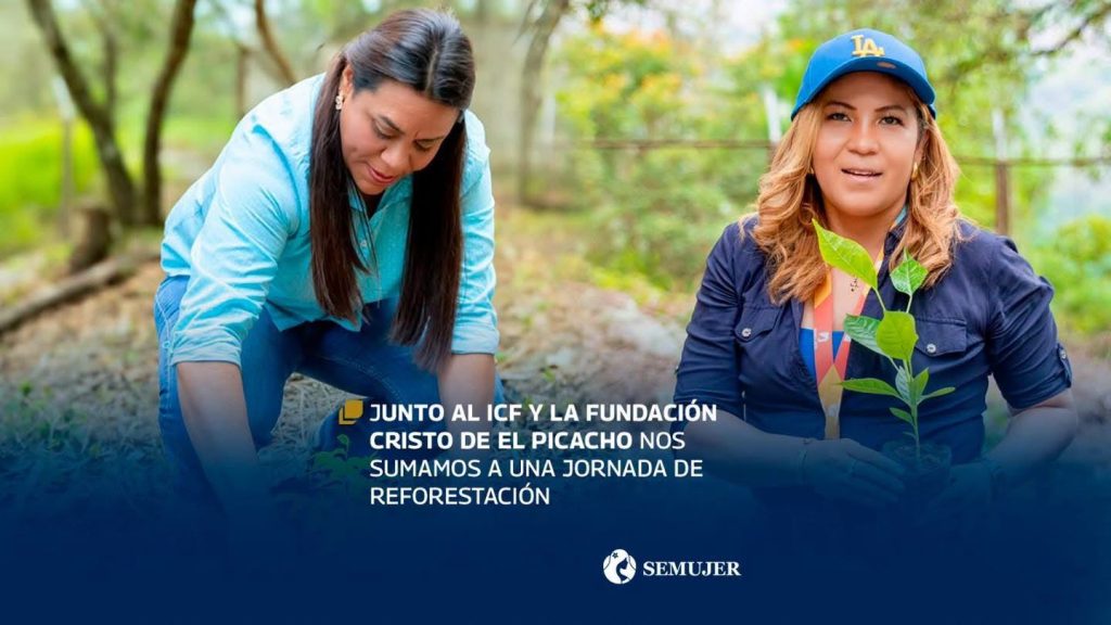 JUNTO AL ICF Y LA FUNDACIÓN CRISTO DE EL PICACHO NOS SUMAMOS A UNA JORNADA DE REFORESTACIÓN