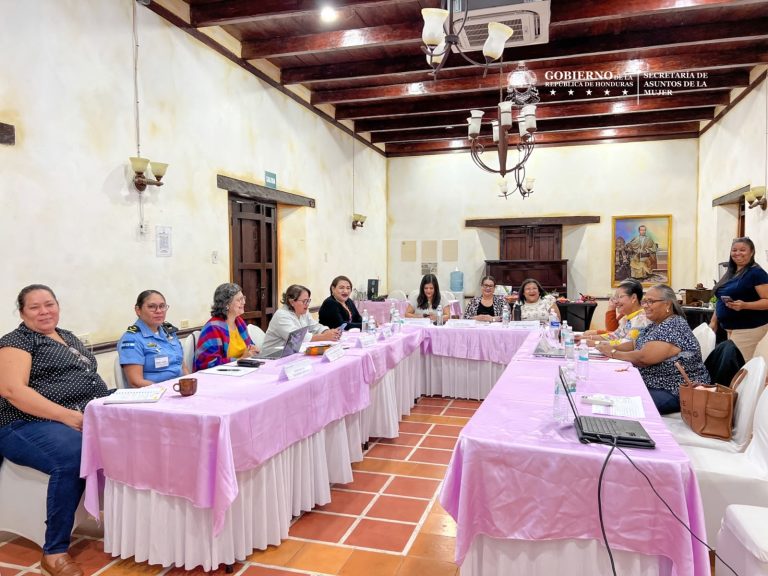 ¡TRABAJANDO JUNTAS POR LA PROTECCIÓN DE LAS MUJERES! VICEMINISTRA YANIRA GUERRA PARTICIPA EN LA SESIÓN DE LA MESA DE CASAS REFUGIO EN SIGUATEPEQUE